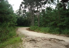 Foto 1 de Fazenda/Sítio à venda, 24200m² em Centro, Campo do Tenente