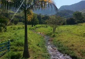 Foto 1 de Fazenda/Sítio com 5 Quartos à venda, 96800m² em Sana, Macaé