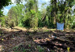 Foto 1 de Lote/Terreno à venda, 520m² em Itamambuca, Ubatuba