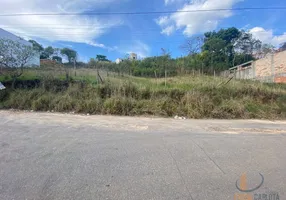Foto 1 de Lote/Terreno à venda, 342m² em Santo Agostinho, Conselheiro Lafaiete