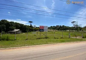 Foto 1 de Lote/Terreno à venda, 6500m² em Cidade Industrial, Curitiba