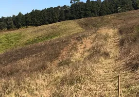 Foto 1 de Lote/Terreno à venda, 500m² em Cachoeira, Cotia