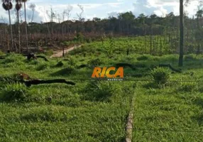 Foto 1 de Fazenda/Sítio à venda, 500000m² em Zona Rural, Humaitá