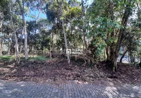 Foto 1 de Lote/Terreno à venda, 480m² em Vargem Grande, Nova Friburgo