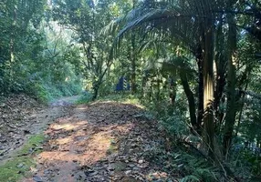 Foto 1 de Lote/Terreno à venda, 10000m² em Praia da Enseada, Ubatuba