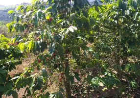 Foto 1 de Fazenda/Sítio com 2 Quartos à venda, 60000m² em Zona Rural, Amparo