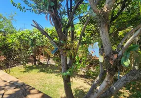 Foto 1 de Fazenda/Sítio com 3 Quartos à venda, 700m² em Jardim Maria Goretti, Ribeirão Preto