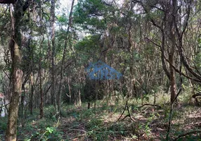 Foto 1 de Lote/Terreno à venda, 3000m² em Residencial Santa Helena - Gleba I, Santana de Parnaíba