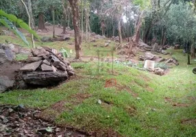 Foto 1 de Lote/Terreno à venda, 650m² em Praia do Toque - Toque Grande, São Sebastião