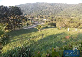 Foto 1 de Lote/Terreno à venda, 106000m² em Ratones, Florianópolis