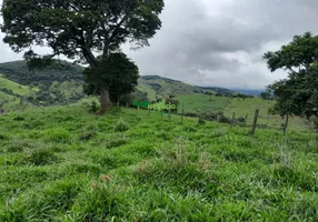 Foto 1 de Fazenda/Sítio à venda, 150000m² em Centro, Itanhandu
