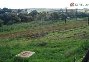 Foto 1 de Fazenda/Sítio com 1 Quarto à venda, 20000m² em Cilo 3, Londrina