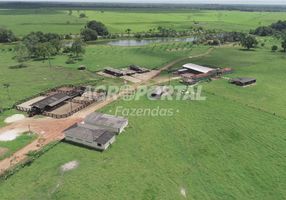 Foto 1 de Fazenda/Sítio com 7 Quartos à venda, 11230000m² em Centro, Castanhal
