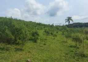 Foto 1 de Fazenda/Sítio à venda, 52000m² em Zona Rural, Campo Magro