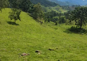 Foto 1 de Lote/Terreno à venda, 12250m² em Zona Rural, Marmelópolis