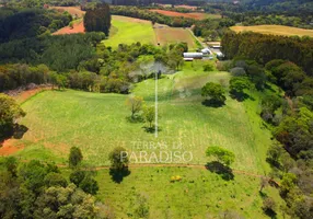 Foto 1 de Fazenda/Sítio à venda, 162000m² em Fragosos, Campo Alegre