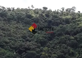 Foto 1 de Fazenda/Sítio com 3 Quartos à venda, 5000m² em Sapucai, Jacutinga