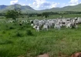 Foto 1 de Fazenda/Sítio à venda, 27250m² em Zona Rural, Monte Alegre de Goiás