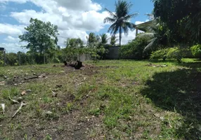 Foto 1 de Lote/Terreno à venda, 3000m² em Zona Rural, Paudalho