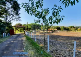 Foto 1 de Lote/Terreno com 1 Quarto à venda, 600m² em Limoeiro, Londrina