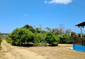 Foto 1 de Fazenda/Sítio com 3 Quartos à venda, 400m² em Centro, Paripueira