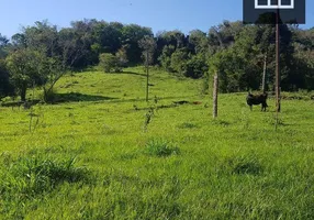 Foto 1 de Fazenda/Sítio com 2 Quartos à venda, 24200m² em , Boa Vista da Aparecida