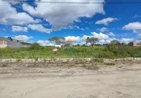 Lotes/Terrenos à venda no estado de Pernambuco - Viva Real