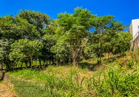 Foto 1 de Lote/Terreno à venda, 1043m² em Morro da Cruz, Florianópolis