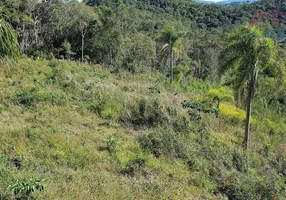 Foto 1 de Lote/Terreno à venda, 222m² em Felpudo, Campo Largo