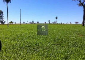 Foto 1 de Fazenda/Sítio com 2 Quartos à venda, 1840000m² em Zona Rural, Dois Irmãos do Buriti