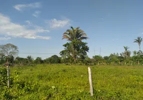 Foto 1 de Fazenda/Sítio com 3 Quartos à venda, 156m² em Jardim Presidente, Cuiabá