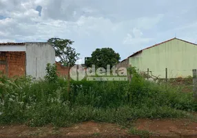 Foto 1 de Lote/Terreno à venda, 300m² em Segismundo Pereira, Uberlândia