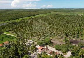 Foto 1 de Fazenda/Sítio com 4 Quartos à venda, 8000000m² em Centro, Beberibe