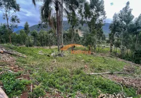 Foto 1 de Fazenda/Sítio à venda, 10000m² em Penha, Paulo Lopes