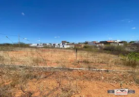 Foto 1 de Lote/Terreno à venda, 300m² em Novo Horizonte, Patos