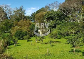 Foto 1 de Fazenda/Sítio com 10 Quartos à venda, 580m² em Ipiranga, Gravataí