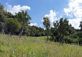 Foto 1 de Fazenda/Sítio à venda, 26000m² em Lomba Grande, Novo Hamburgo