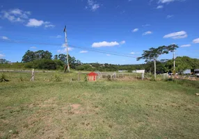 Foto 1 de Lote/Terreno à venda, 5858m² em Sitio São José, Viamão