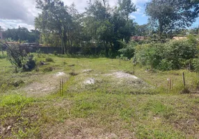 Foto 1 de Lote/Terreno à venda, 292m² em Jardim Coronel, Itanhaém