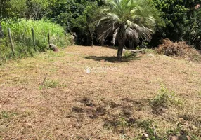 Foto 1 de Lote/Terreno à venda, 1769m² em Capao, Garopaba