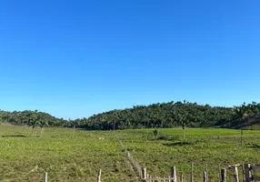 Foto 1 de Fazenda/Sítio à venda em , Itapecuru Mirim