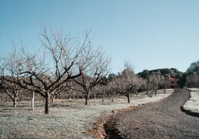 Foto 1 de Lote/Terreno à venda, 800m² em Mato Queimado, Gramado