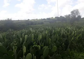 Foto 1 de Fazenda/Sítio com 3 Quartos à venda, 137000m² em Centro, São Pedro