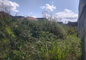 Foto 1 de Lote/Terreno à venda, 353m² em Jamaica, Itanhaém