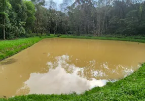 Foto 1 de Fazenda/Sítio com 3 Quartos à venda, 17000m² em Campestre dos Paulas, Mandirituba