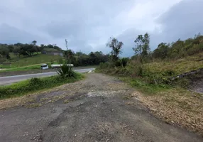 Foto 1 de Fazenda/Sítio com 4 Quartos para alugar, 147000m² em Afonso Pena, São José dos Pinhais