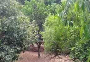 Foto 1 de Fazenda/Sítio com 3 Quartos à venda, 1600m² em Tijuco Preto, Caçapava