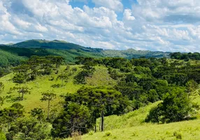 Foto 1 de Fazenda/Sítio à venda, 440000m² em Santa Izabel, São Joaquim