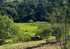 Foto 1 de Fazenda/Sítio com 1 Quarto à venda, 20000m² em Linha Bonita, Gramado