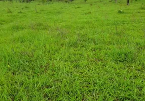 Foto 1 de Fazenda/Sítio à venda em Centro, Minaçu